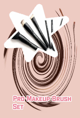 Professional quality makeup brush set